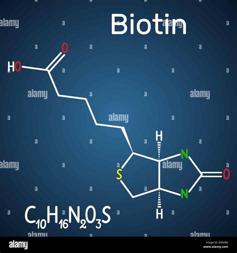 La biotina vitamina B7 Fórmula química estructural y molécula modelo