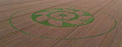 Belmore Lane Owslebury Crop Circle Ghost 2019 Nexus Newsfeed