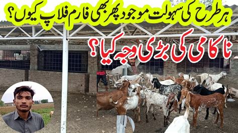 Nakam Got Form In Sialkot Goat Farming Business In Pakistan Goat