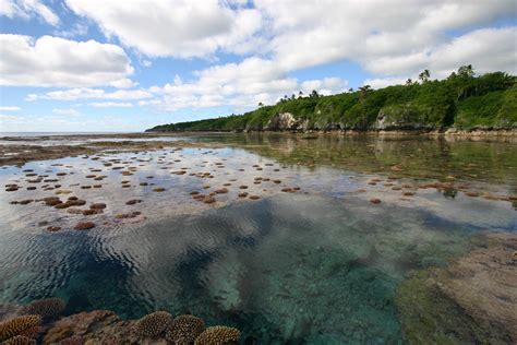 On The Reef At Tuapa There Is An Abundance Of Sea Life To Explore Niue