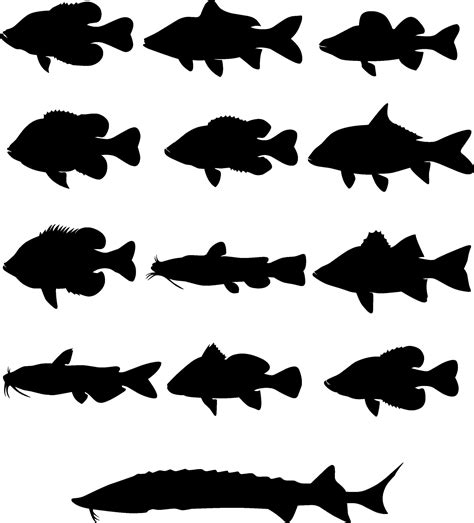 Sea Fish Silhouette Vector Art Vector Art At Vecteezy