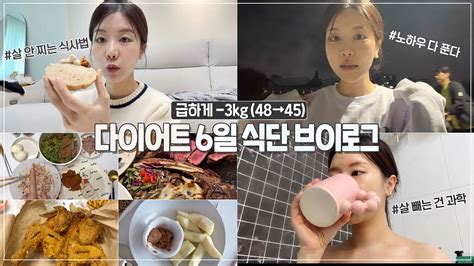 급하게 3kg😭 효과 미치게 본 살 빠지는 식사법 6일동안 식단 다 찍은 다이어트 Vlog💛 혈당 잡는 노하우ㅣ건강하게 살