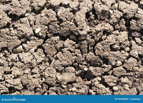 Close Up View Of Textured Fertile Dry Soil In Garden Stock Photo