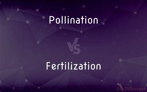 Pollination Vs Fertilization Whats The Difference