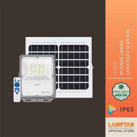 Clearance Sale Lamptan Solar