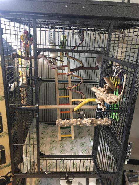 Cage ideas? : r/cockatiel