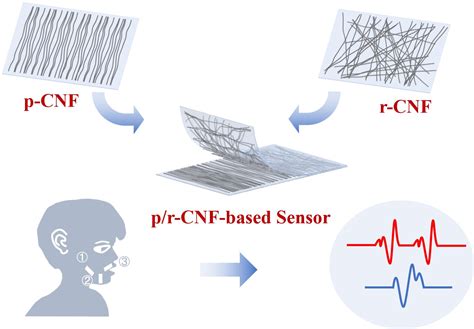 Flexible strain sensor enabled by carbon nanofibers can 'read lips'