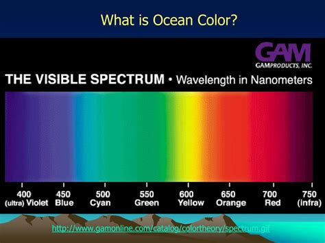 PPT - Optimization of a Semi-analytical Ocean Color Algorithm for ...