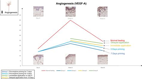 Frontiers Controlling Inflammation Pre Emptively Or At The Time Of