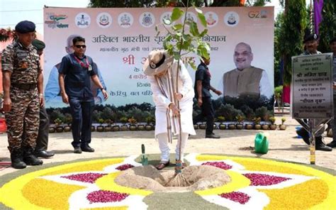 Amit Shah Plants 40 Millionth Tree under MHA's All-India tree plantation Campaign - Nursey News ...