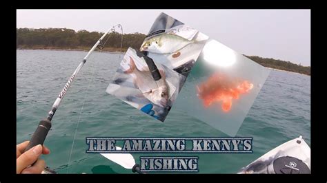 Insane Fishing In Jervis Bay Youtube