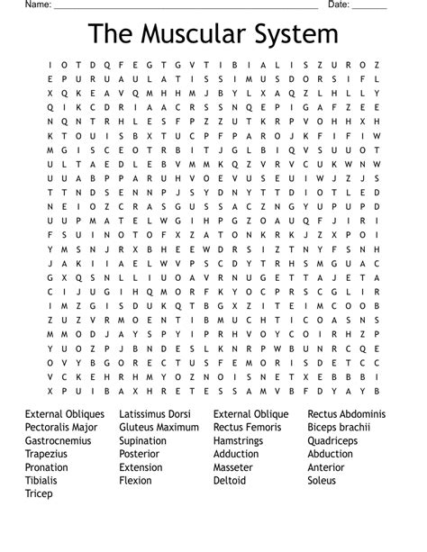 Wordmint Muscular System Word Search