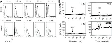 Tcr Stimulation Induces Only A Small Depolarization And Depolarization