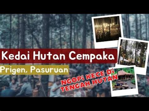 Kedai Hutan Cempaka Prigen Pasuruan Live Music Di Tengah Hutan Cafe