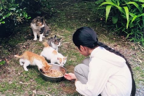 天皇ご一家の飼い猫の写真を公開 園遊会の「猫談義」話題に 写真特集37 毎日新聞