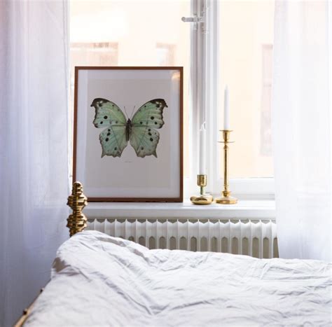 Бабочки для декора стен, шаблоны бабочек из бумаги для украшения ...