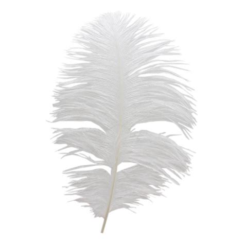 White Ostrich Feather 30cm Hobbycraft