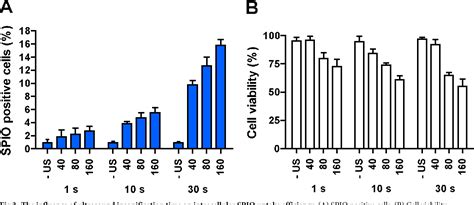 Figure From Spio Labeling Of Endothelial Cells Using Ultrasound And