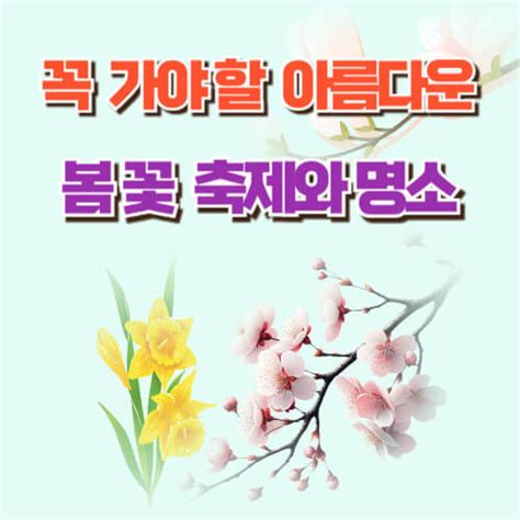 꼭 가야할 아름다운 벚꽃 매화 목련 수선화 축제와 명소 보기