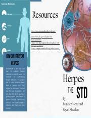 Understanding Herpes: Causes, Symptoms, and Prevention | Course Hero