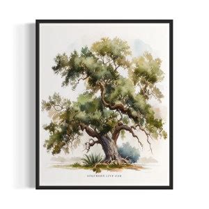 Southern Live Oak Tree Art Print Southern Live Oak Tree Wall Art