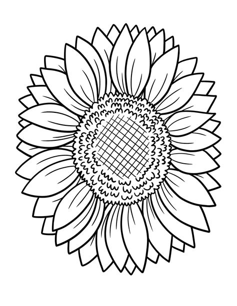 Coloriage Tournesols Merveilleux télécharger et imprimer gratuit sur