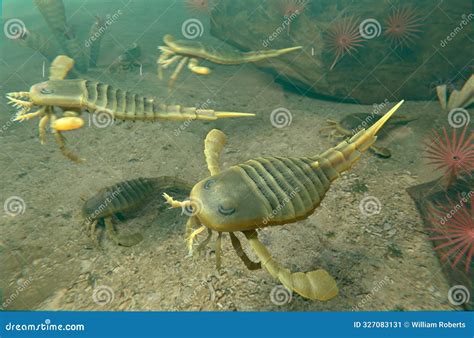 Eurypterids Swimming On Silurian Seafloor Stock Illustration