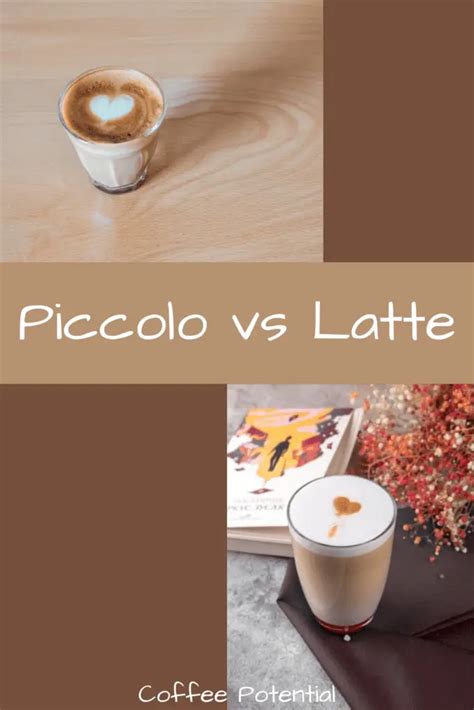 What Is A Piccolo Latte? | Comprehensive Beginner's Guide