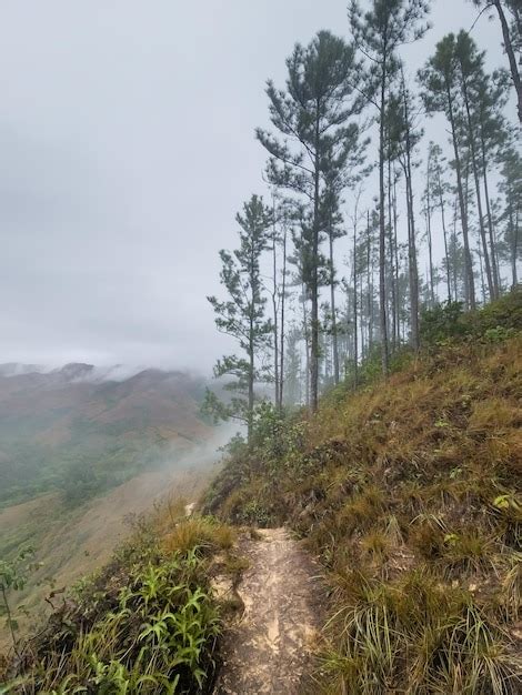 Premium Photo | Hike through the mountains between hills and waterfalls ...