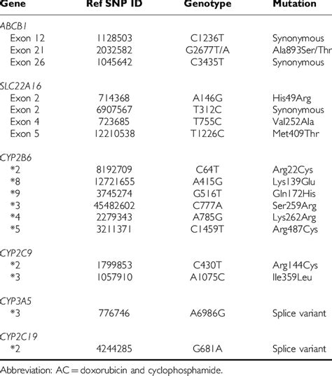 SNPs investigated in AC pharmacogenetics study | Download Table