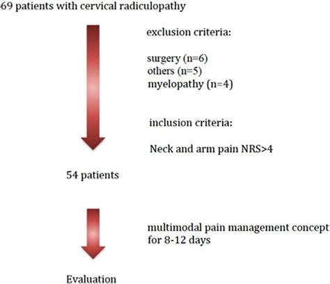 cervical spine radiculopathy exercises pdf - Ellis Vaughan