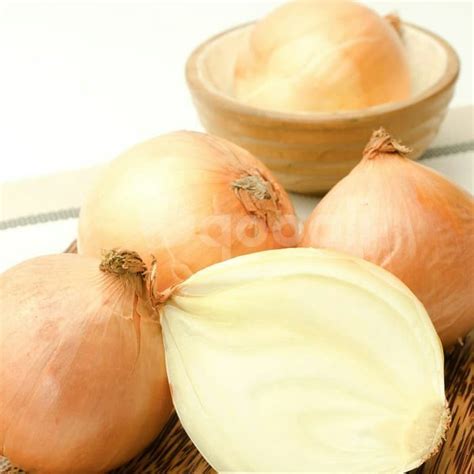 jual bawang bombay kota tangerang selatan prasetyaatudy tokopedia