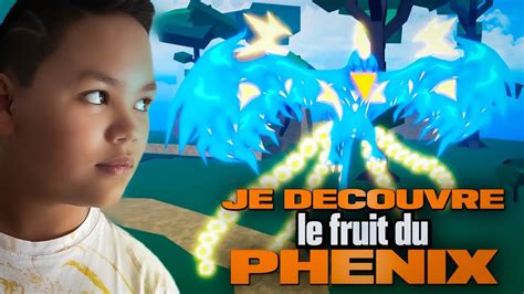 Je D Couvre Le Fruit Du Phenix Sur Blox Fruits Youtube