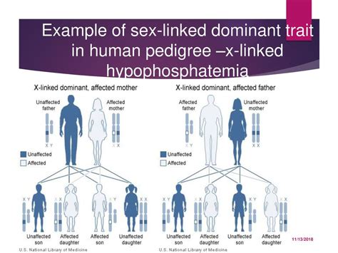 Biology Chapter 8 Section 3 Ppt Download