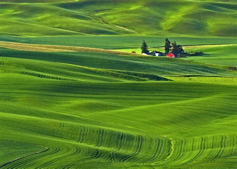 Sunrise Over Palouse Greeting Card by Christine Haines