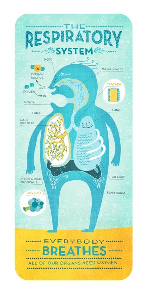 Rachel Ignotofsky - Med in ArtMed in Art