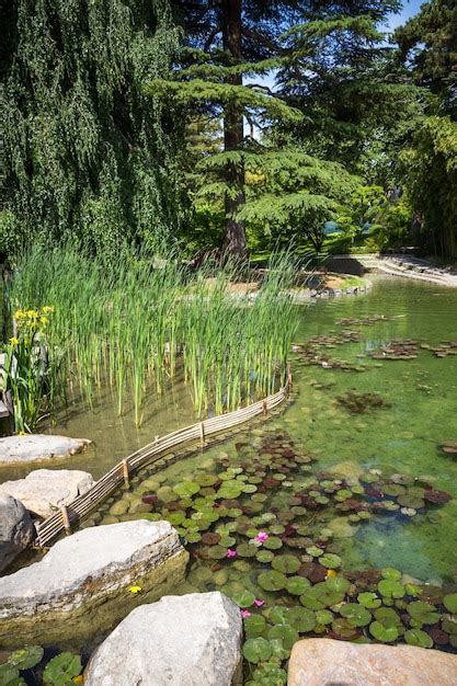 Premium Photo | Pond in a japanese garden