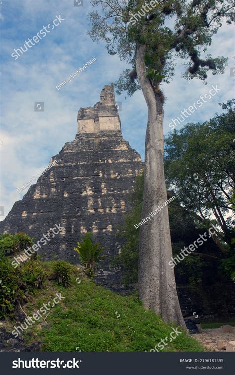 Tikal Ruins Ancient Mayan City Jungles Stock Photo 2196181395 ...