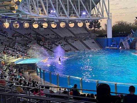 Guide to Aquatic Shows at SeaWorld Orlando – Michelle Valentine – Love ...