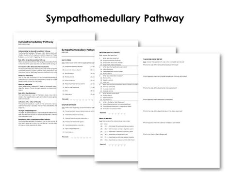 Sympathomedullary Pathway Teaching Resources