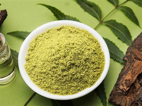 Benefits of Neem Powder for Skin and Hair - 365 gorgeous