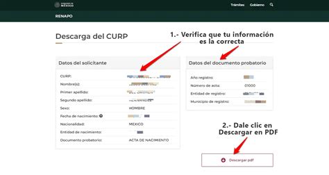 Imprimir CURP Nuevo Formato Y Descargar CURP En Línea