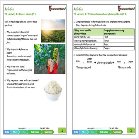 Grade 6 Natural Sciences And Technology Nst Term 1 Platinum Activities And Worksheets • Teacha