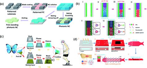 Self Assembled Colloidal Arrays For Structural Color Nanoscale