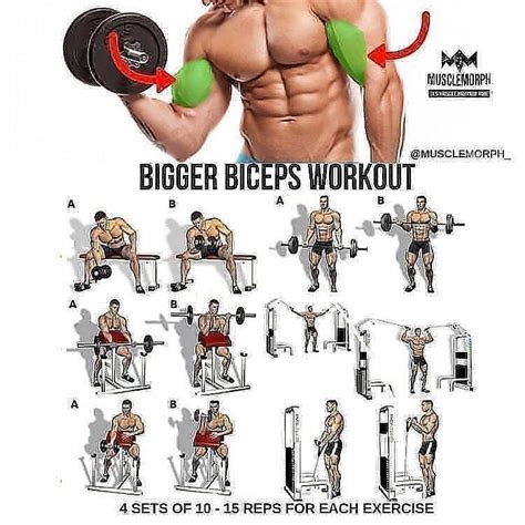 BIGGER BICEPS WORKOUT FOR YOURS🔥 ️ ️💯 For more content follow us 👉@fitnessimportance__ CREDIT ...