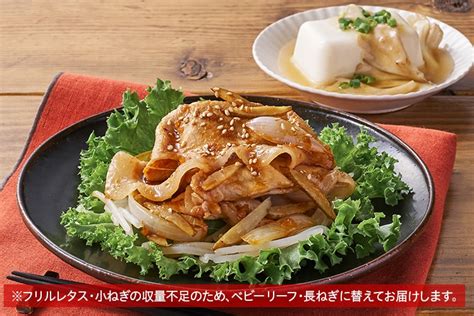 Kit2人前／ごはんがすすむ！豚肉のスタミナだれ｜ オイシックス公式