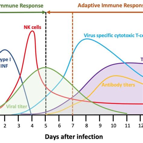 Figure S Simulations From Figure Showing The Immune Response