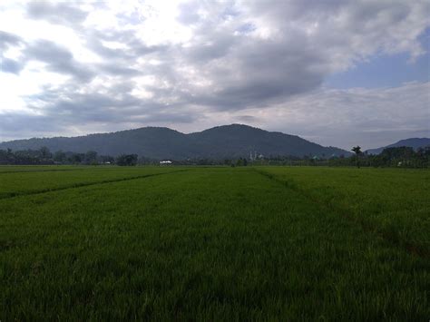 Bukit Hijau Sawah Langit - Foto gratis di Pixabay - Pixabay