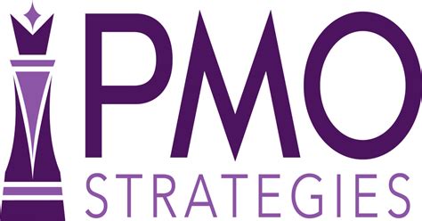 The Investment Pmo Measuring And Increasing Project Business Value Roi