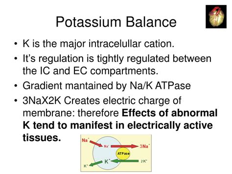 Ppt Hyperkalemia And Hypokalemia Powerpoint Presentation Free